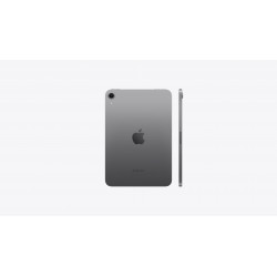 iPad mini (2024)